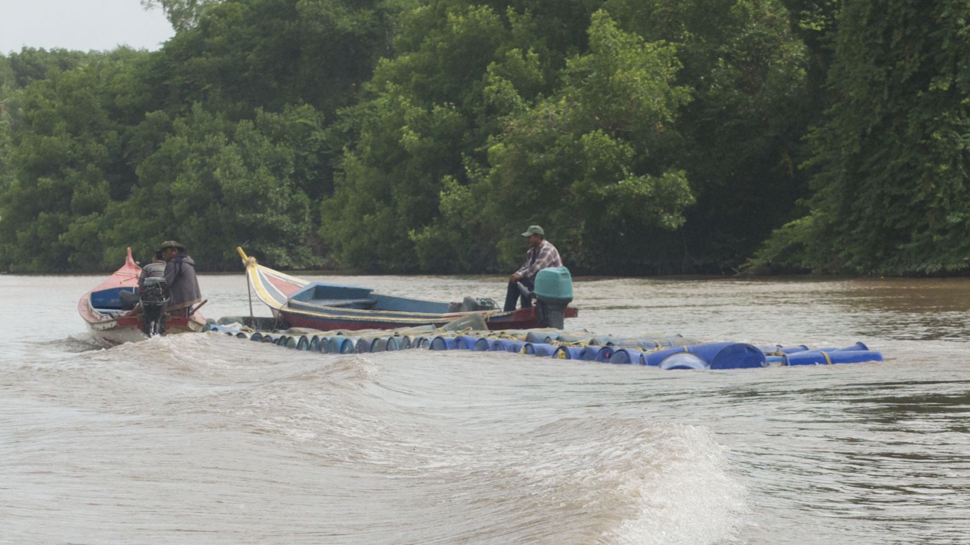 File:Rio limon venezuela231.jpg