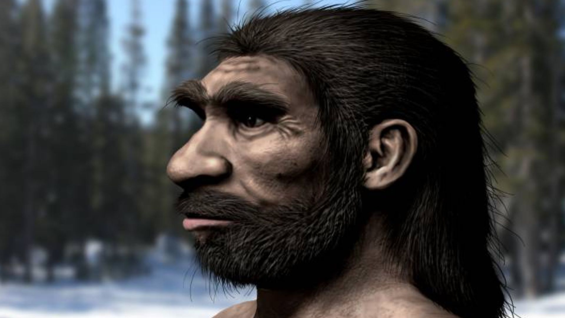 File:Homo longi NT.jpg