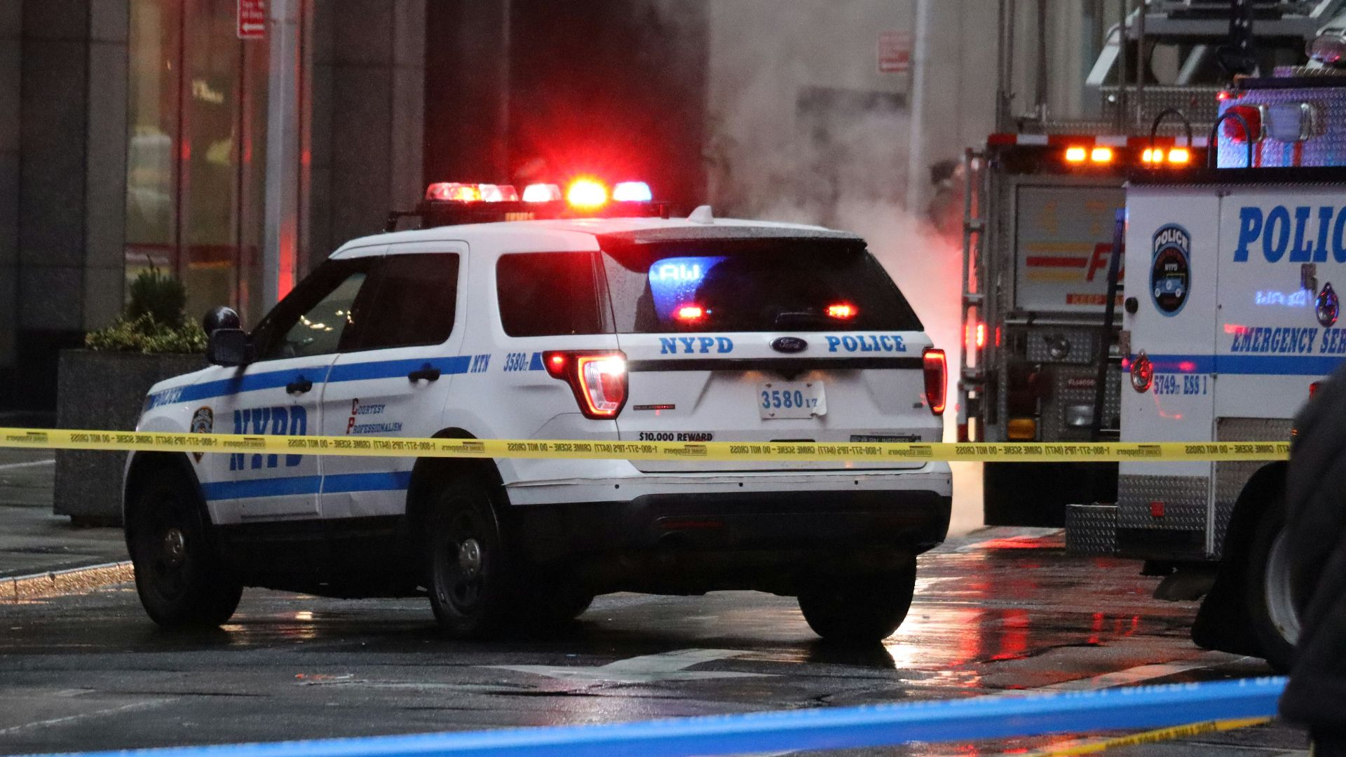 white and blue ford f 150