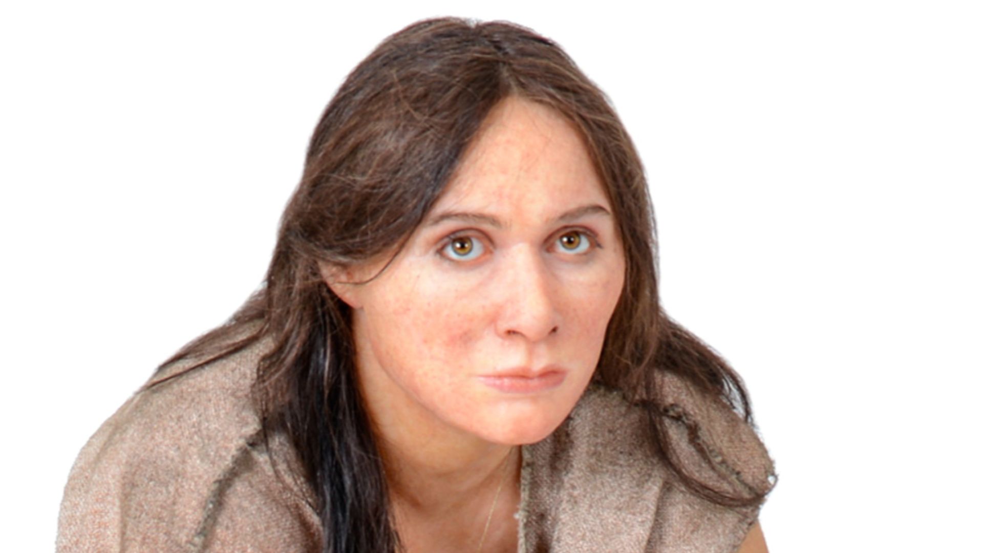 File:Homo sapiens - Neolithic - reconstruction - MUSE.jpg