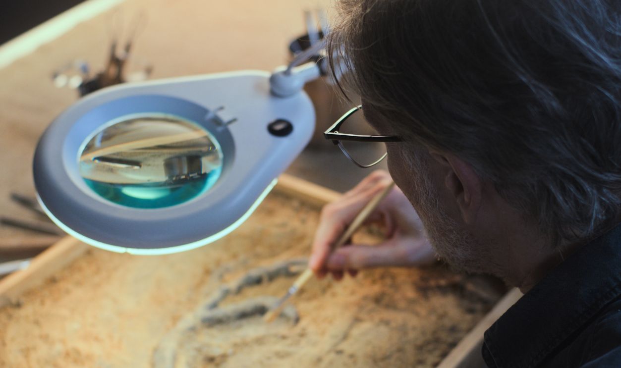 Close up of mature archaeologist cleaning fossil bone with brush. Scientist works with remains of ancient extinct human or animal in archaeological laboratory. Close up view through magnifying lamp.