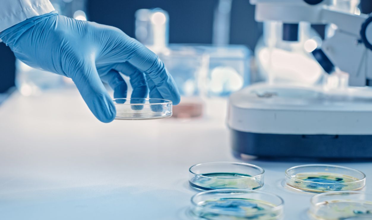 Scientist Works with Petri Dishes with Various Bacteria, Tissue and Blood Samples. Concept of Pharmaceutical Research for Antibiotics, Curing Disease with DNA Enhancing Drugs. Moving Close-up Macro