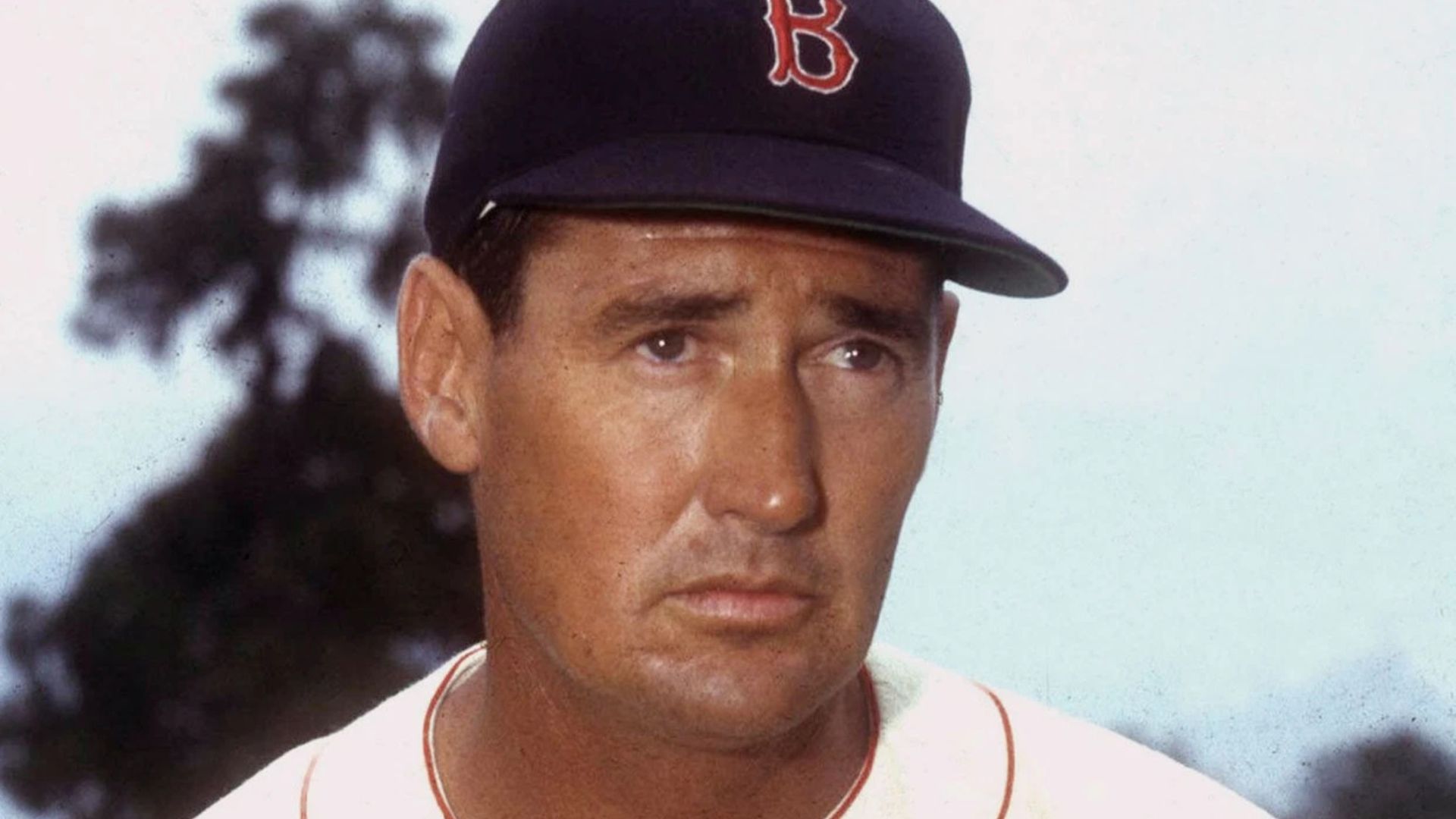 File:Ted Williams.jpg