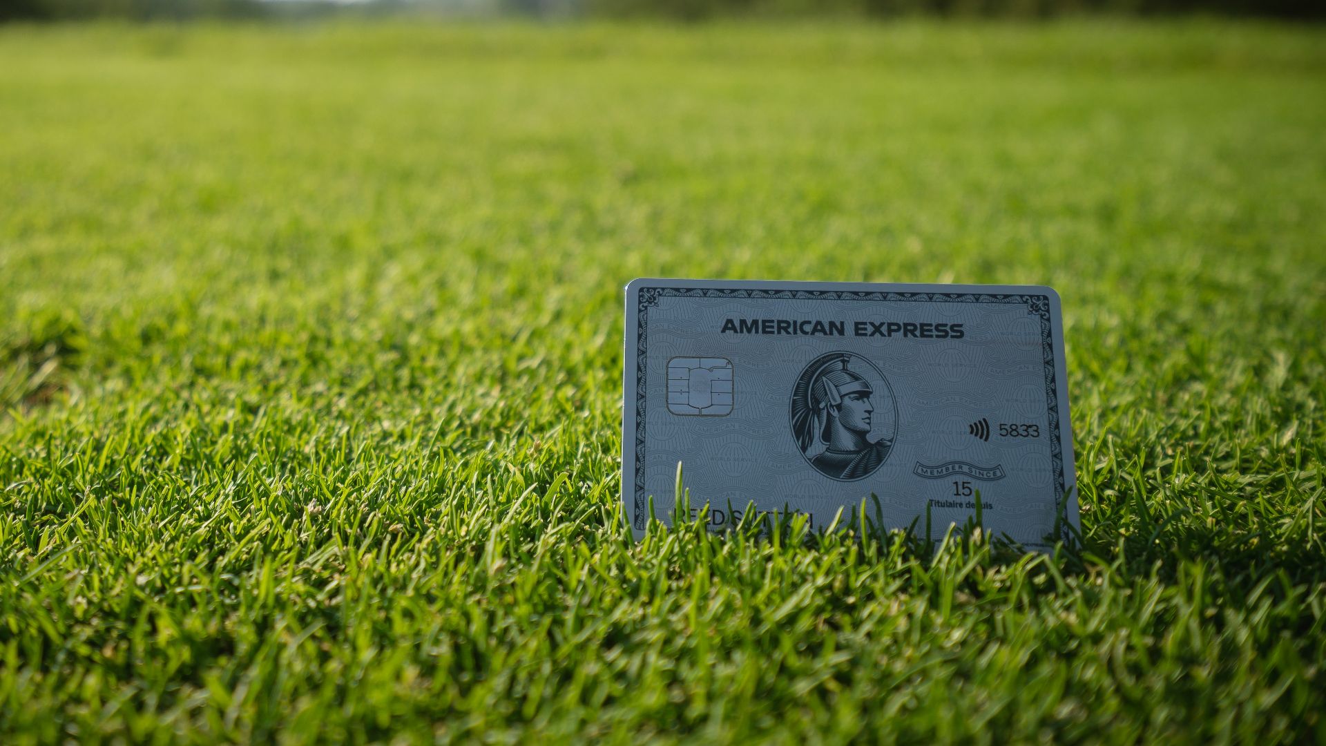 a credit card sitting on top of a lush green field