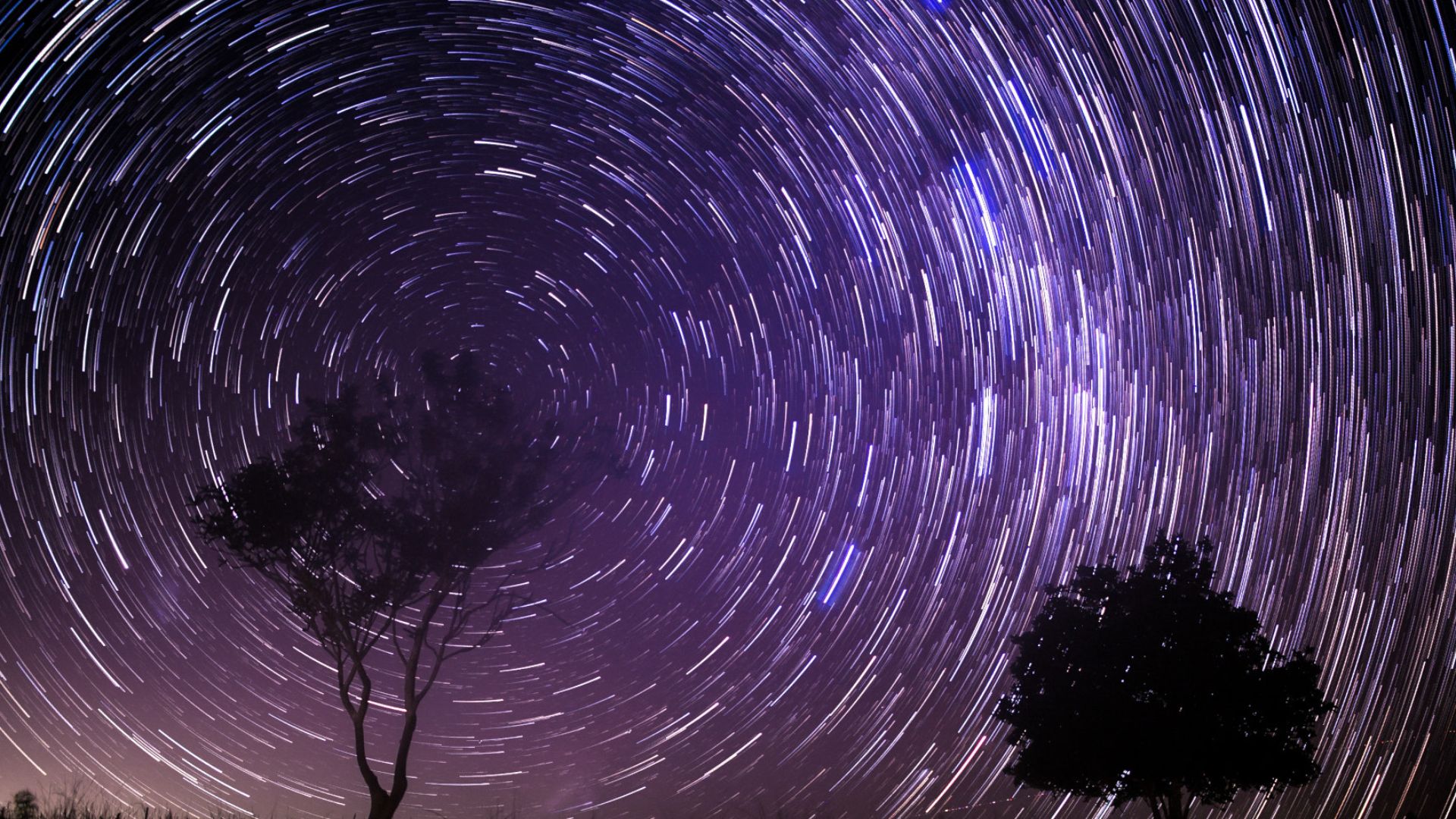 File:The Nights Long Moments (152181573).jpeg