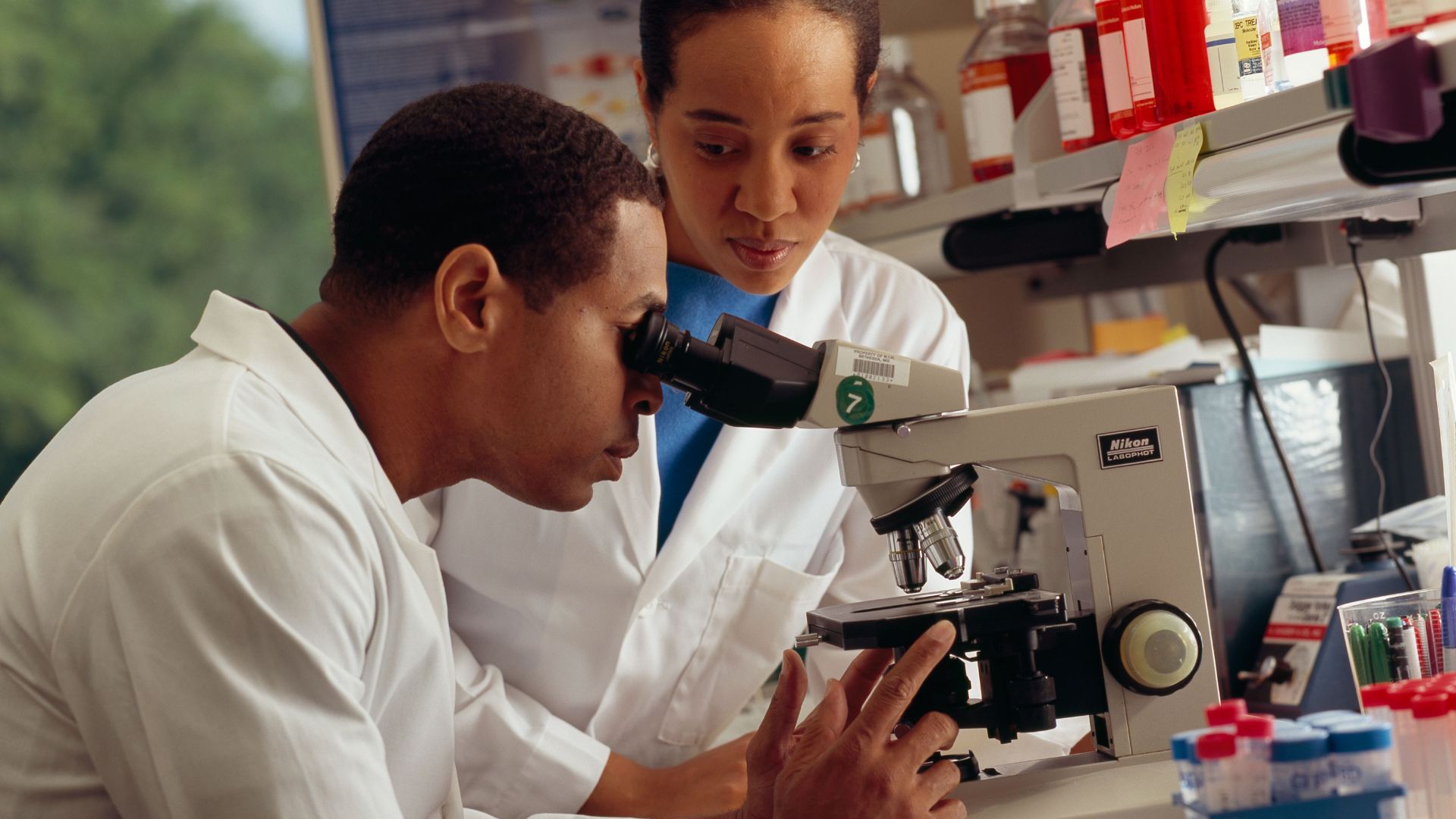 File:Researcher looking through microscope.jpg