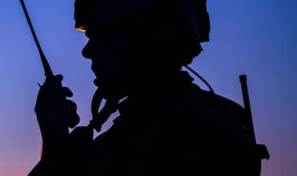Silhouette Of Military Soldier, Shutterstock, 778697080