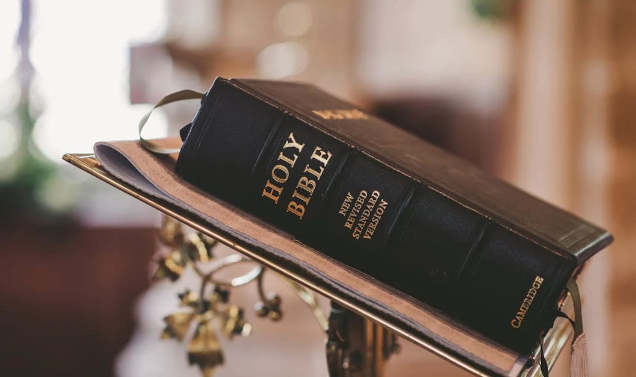 Untitled Design - 2025-12-11T153053.255