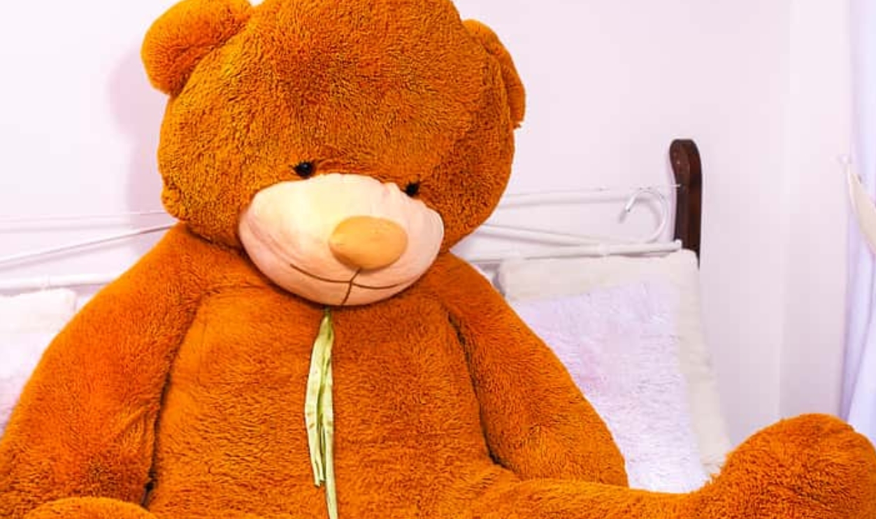 big beautiful teddy bear in bed, Shutterstock, 1362121370