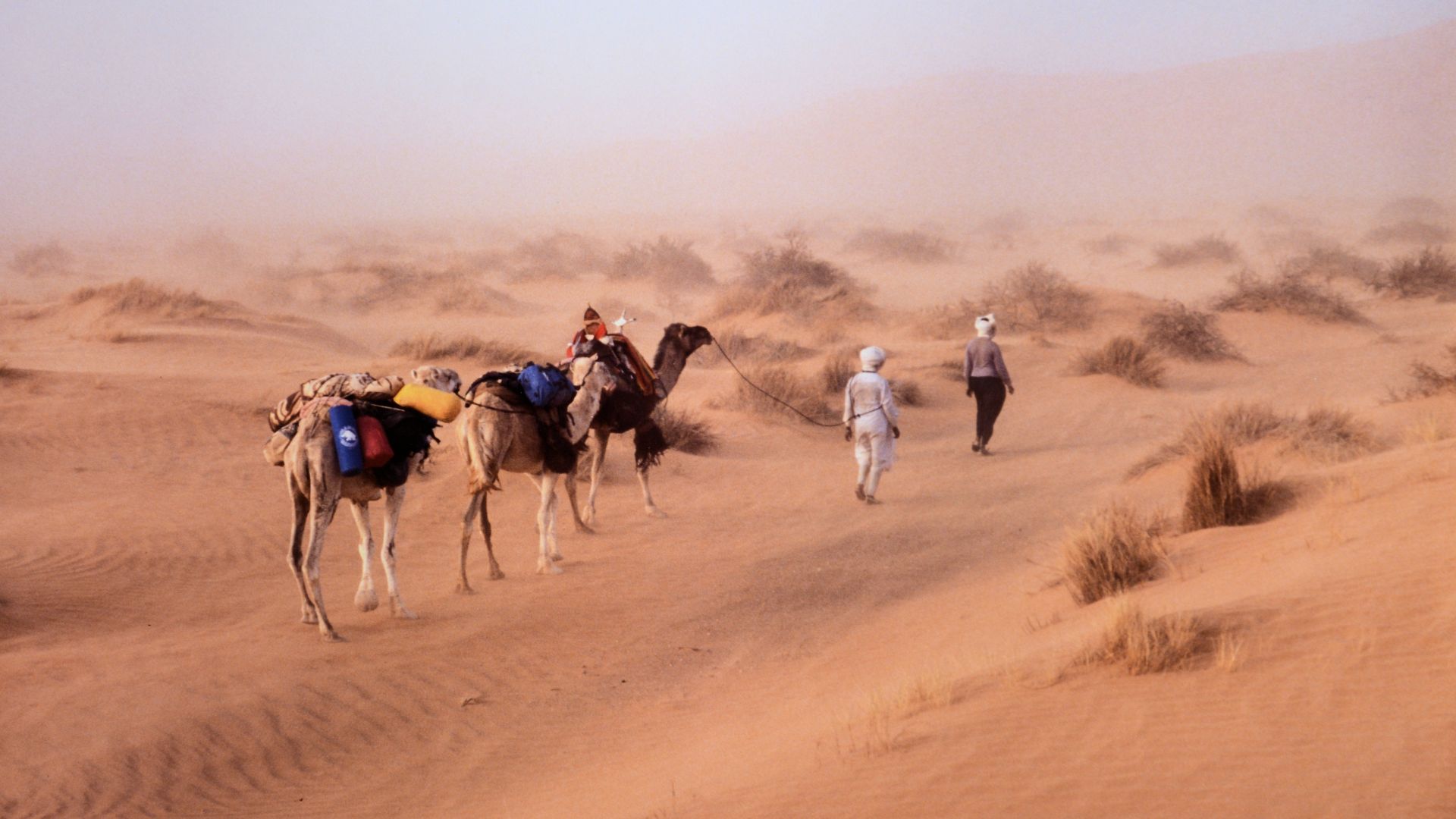 File:Wind of dust.jpg