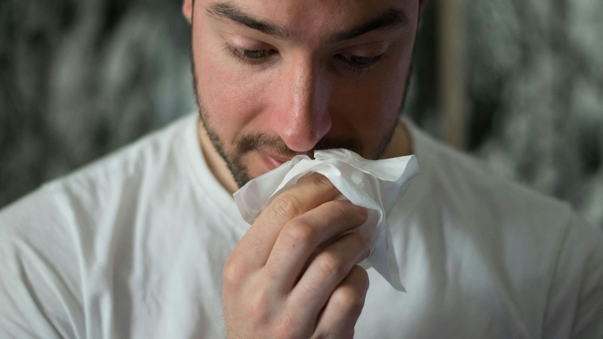man wiping mouse with tissue paper