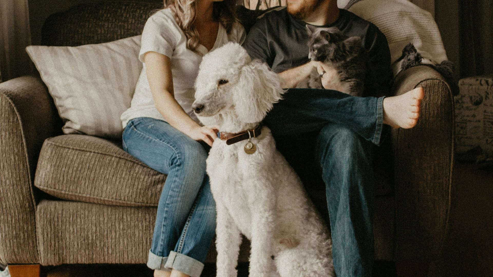 couple sitting on sofa beside dog inside room