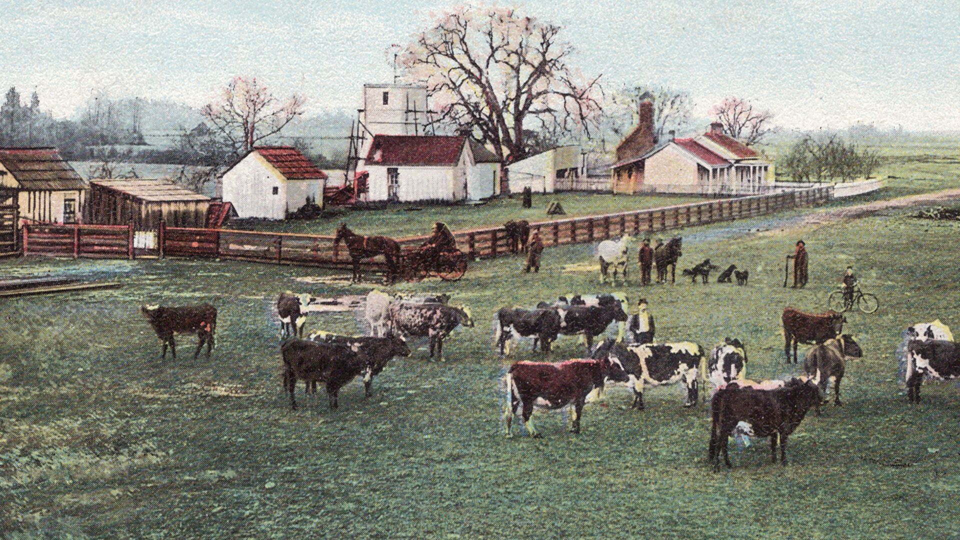 File:Typical Cattle Ranch (20106810).jpg