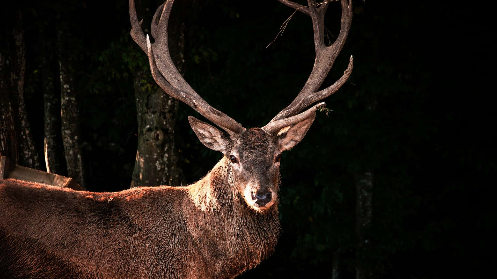 Middle Of Nowhere Facts