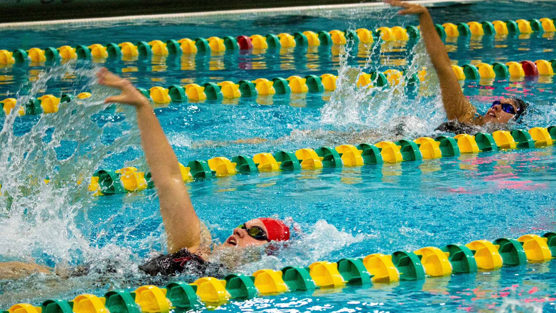 person swimming in the pool