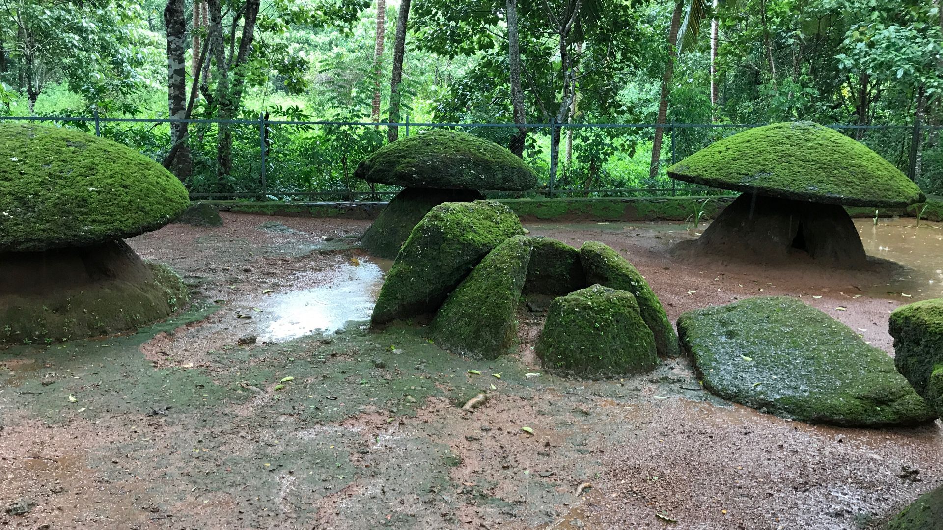 File:A pre 1000 BCE Kudakkallu site, Megalithic umbrella stones Ariyannur Kerala.jpg
