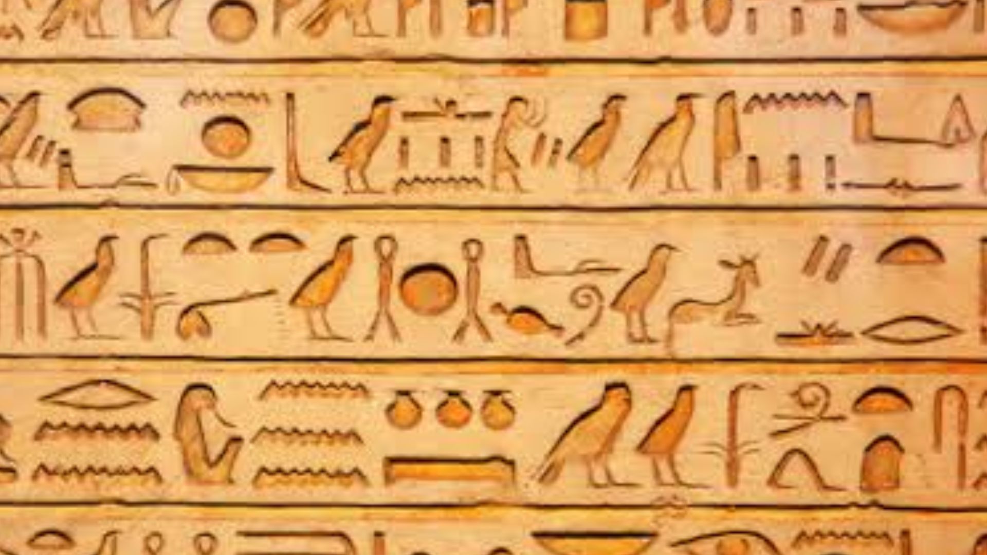 File:Egyptian hieroglyphics.jpg