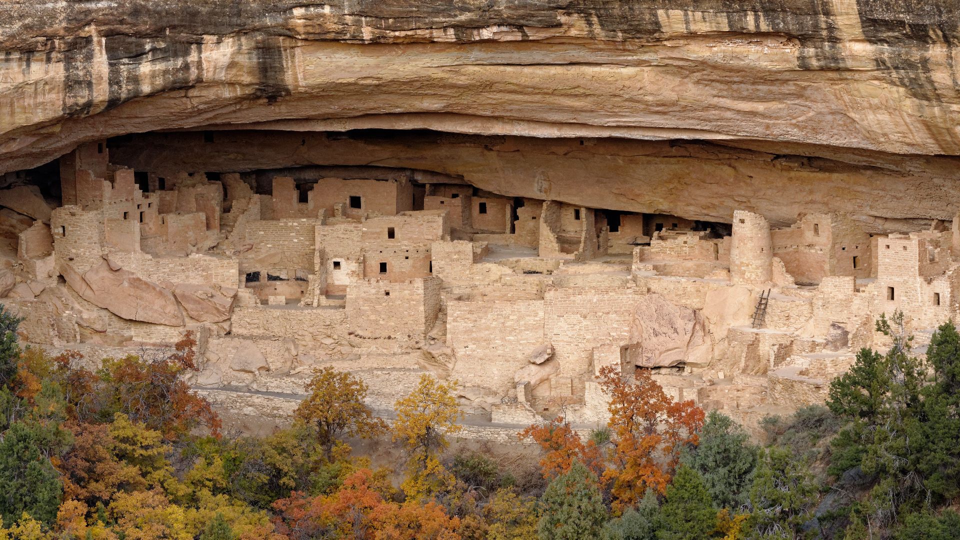 File:Cliff Palace, Mesa Verde Park, Colorado, US (36).jpg