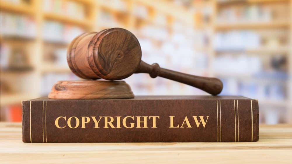 Legal Numbskulls facts