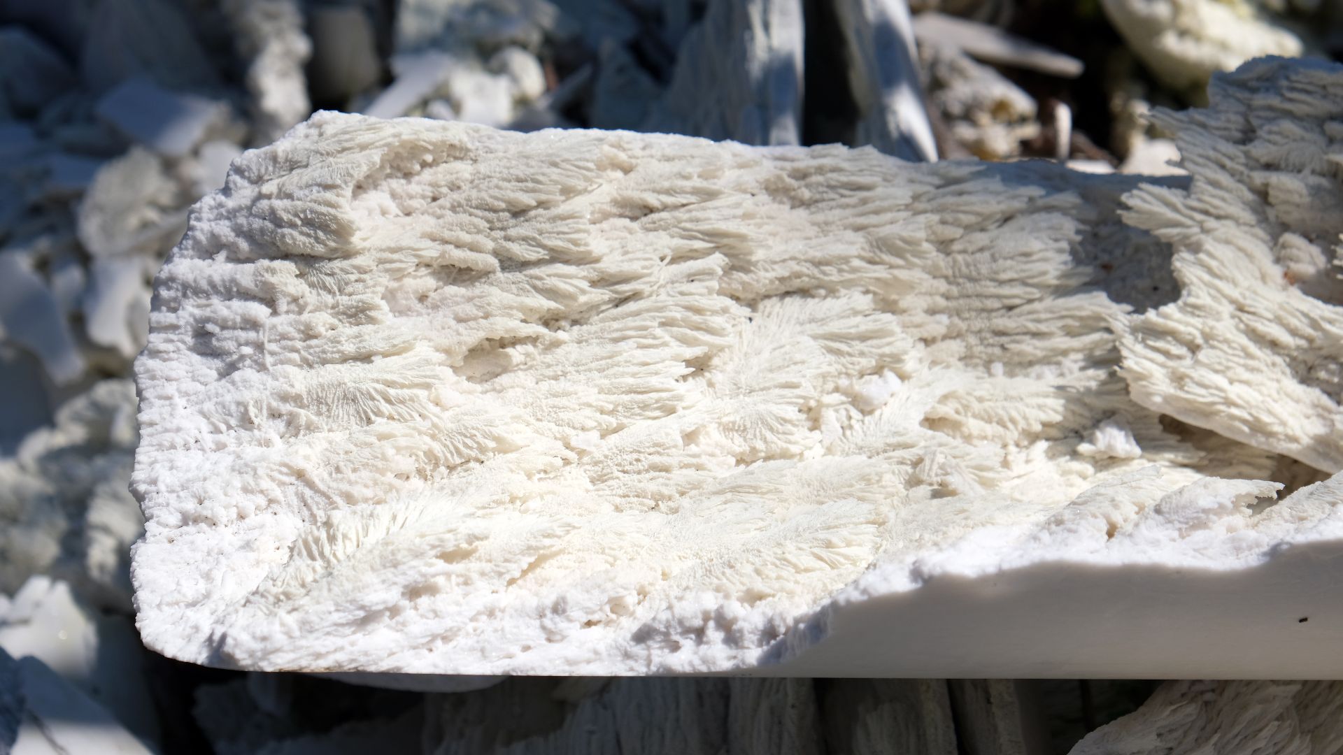 File:Lime residue thermal water Katlanovo spa 3.jpg