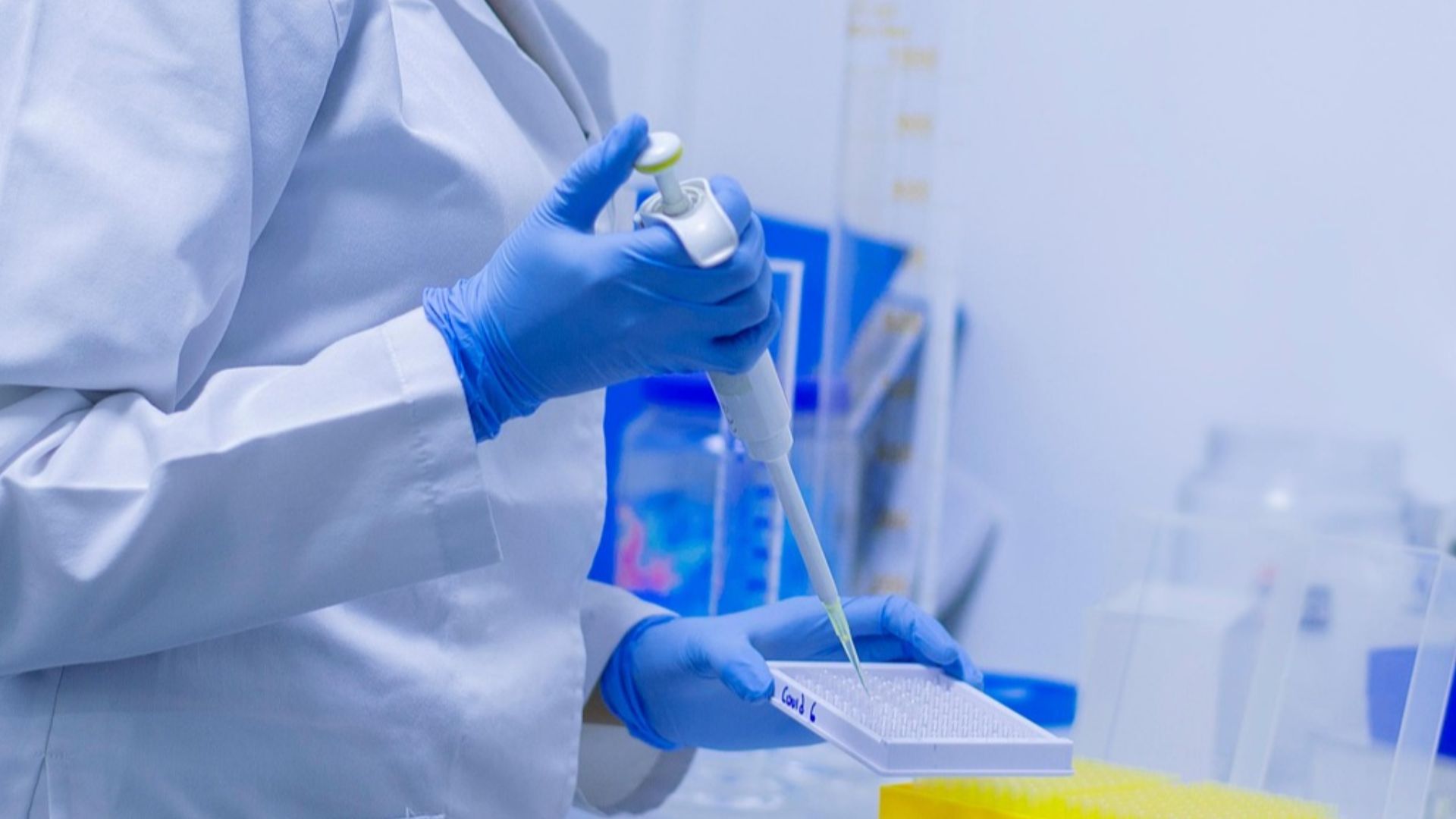 fernandozhiminaicela