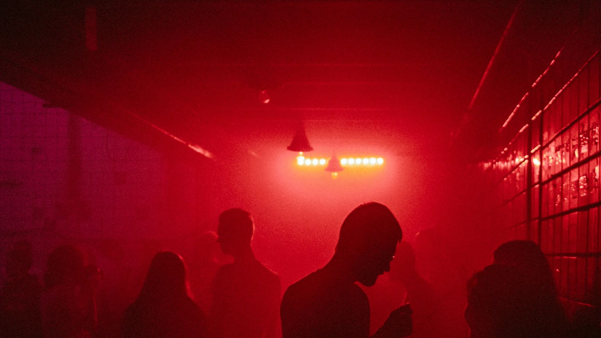 group of people inside the room