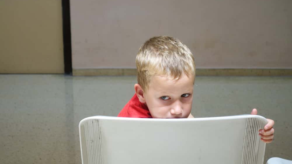 Horrible Teachers Facts