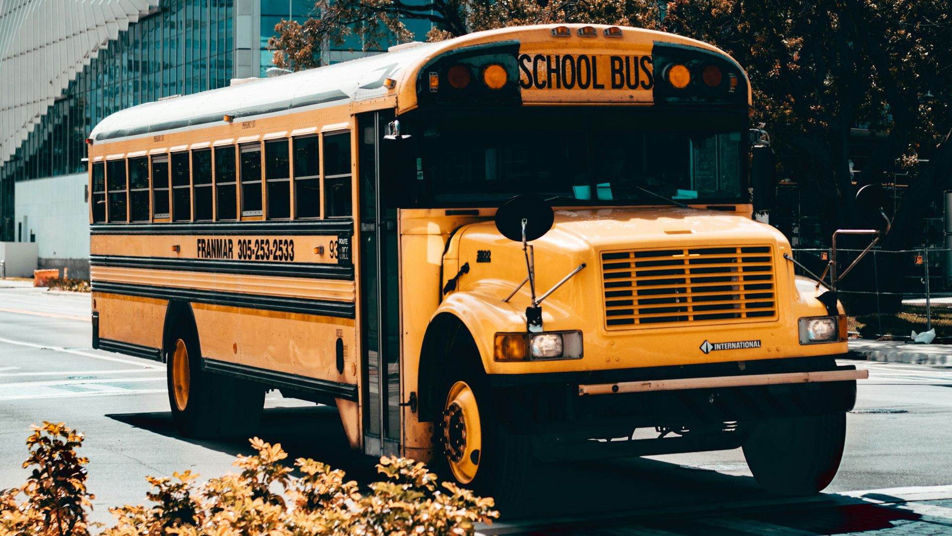 yellow school bus on road