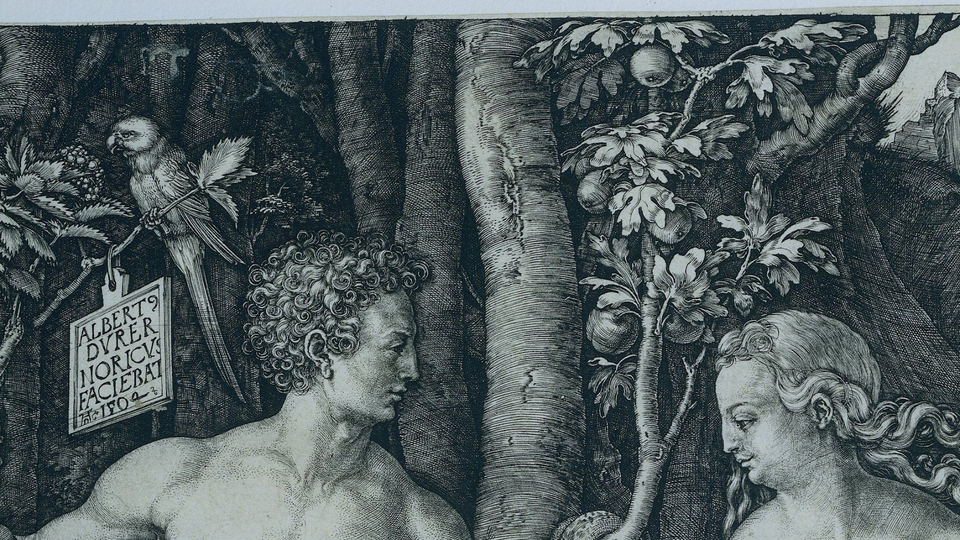 File:Albrecht Dürer - Adam and Eve (Rijksmuseum RP-P-OB-1155).jpg