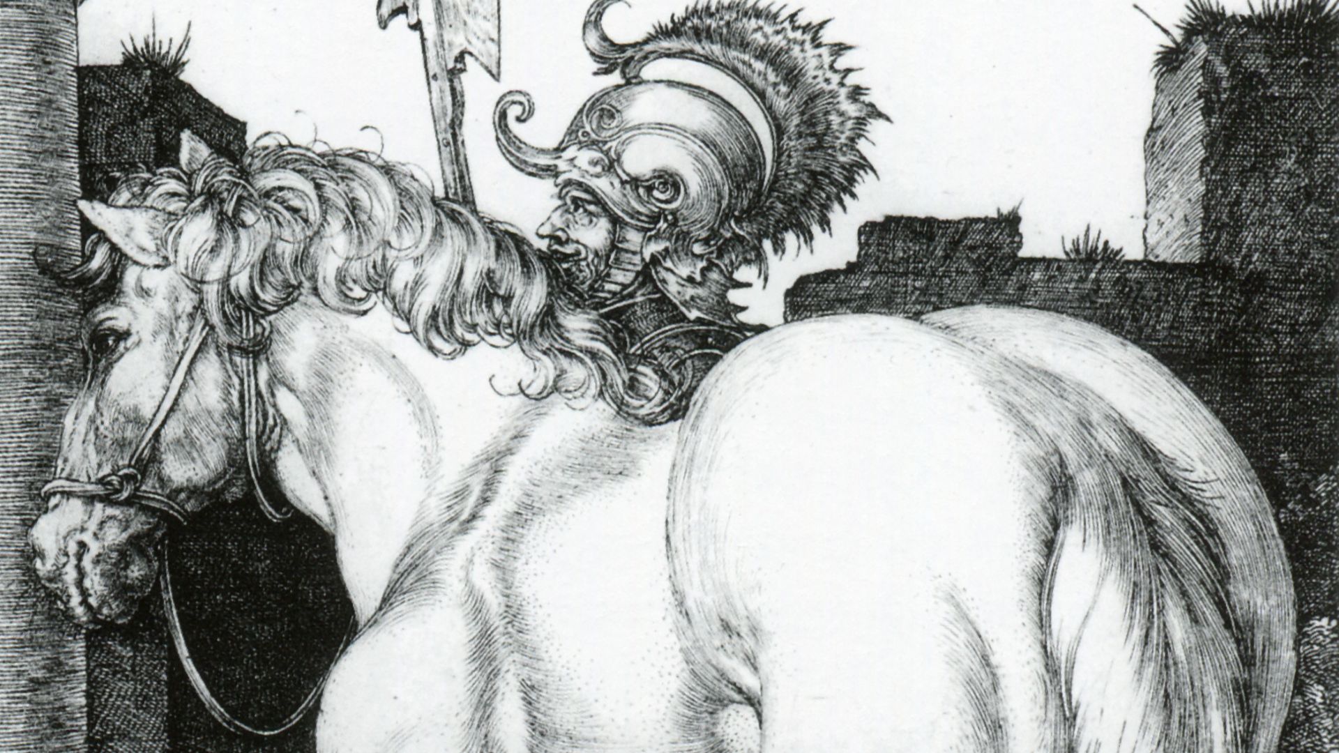 File:Large Horse by Albrecht Dürer.jpg