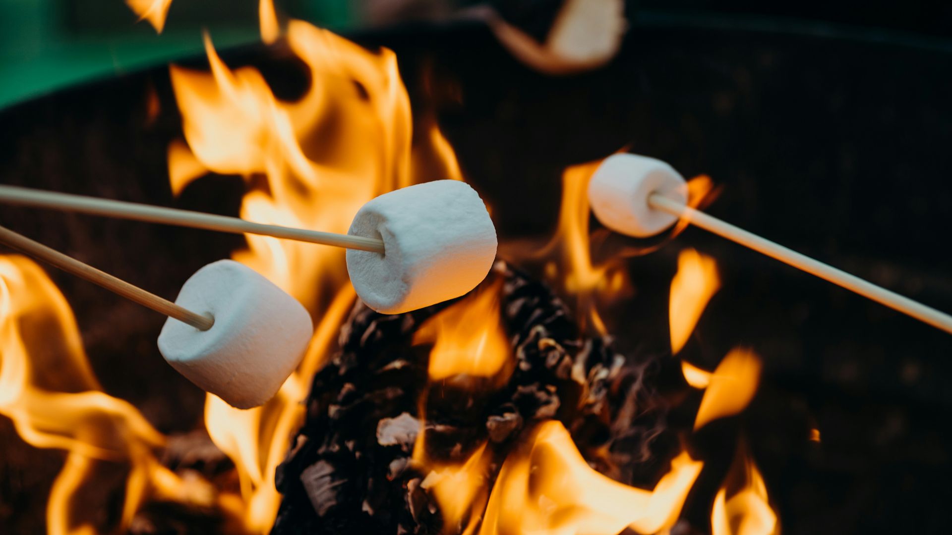 selective focus photography of marshmallows on fire pit