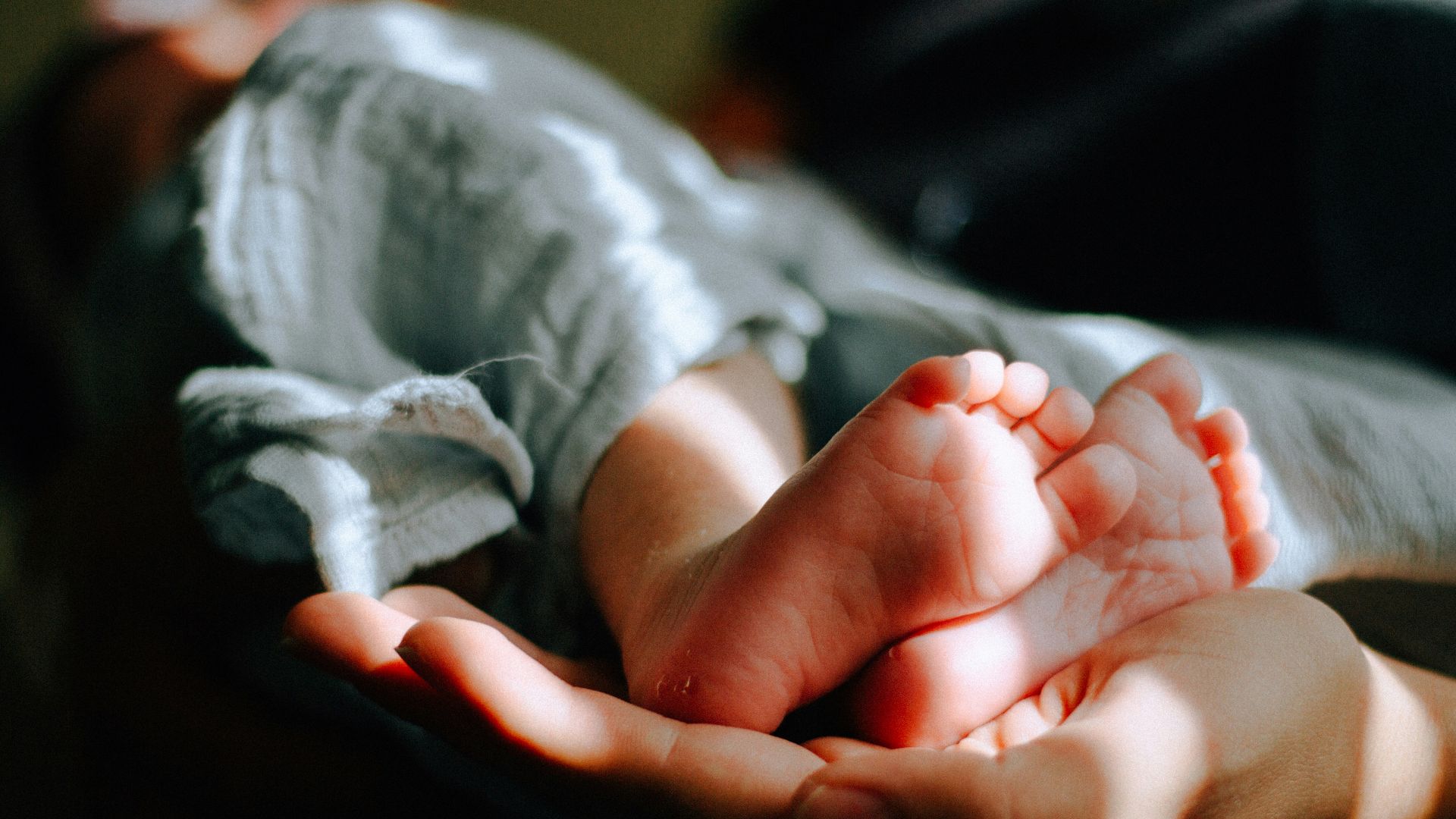 person holding baby feet