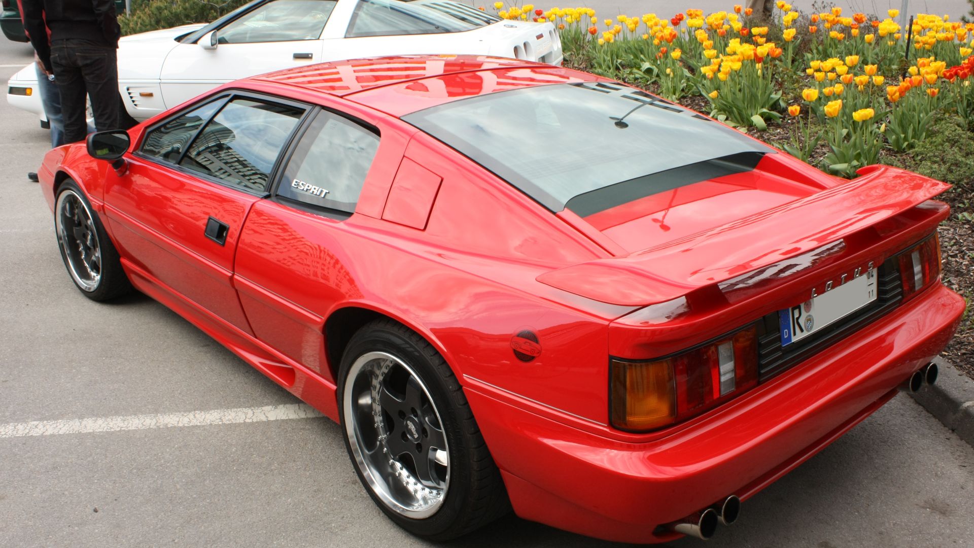 File:Lotus Esprit Heck.jpg