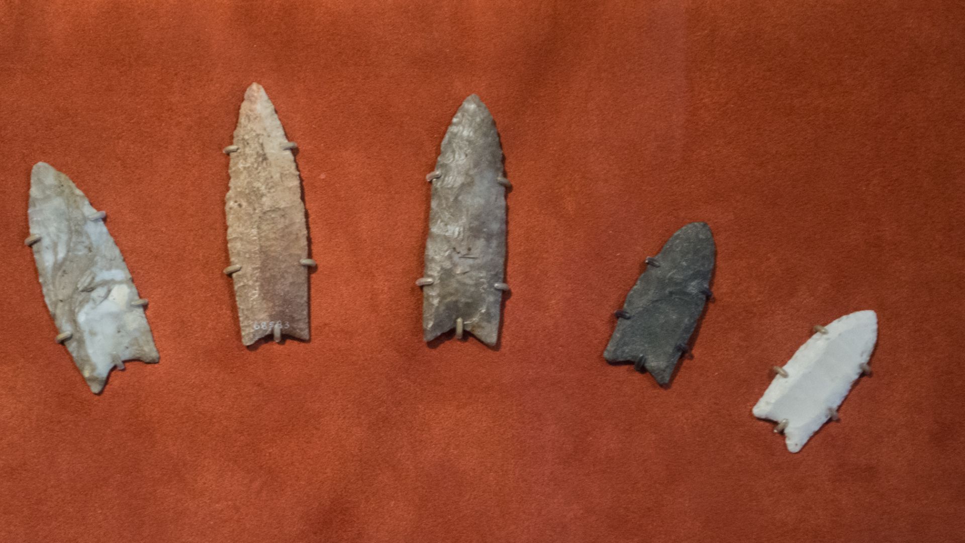 File:Clovis spearpoints - Cleveland Museum of Natural History.jpg