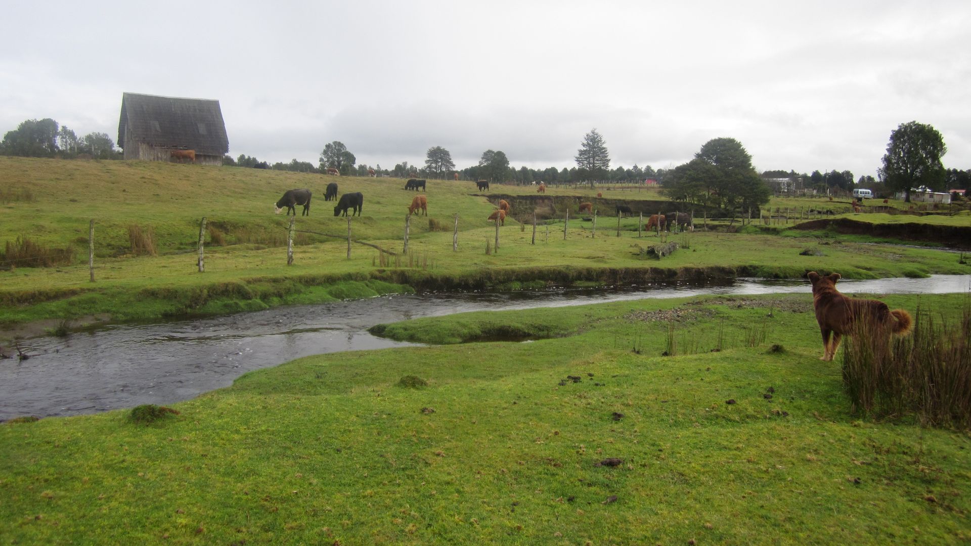 File:Monte Verde 2012.jpg