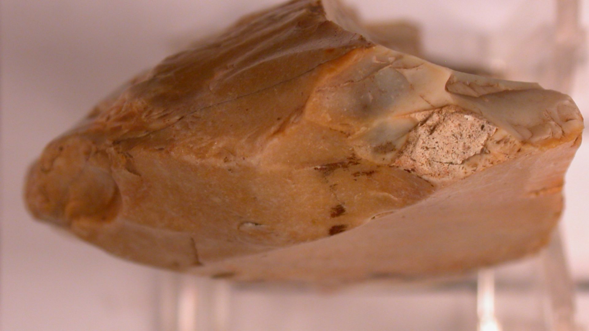 File:Chopper (profile) (FindID 540852).jpg