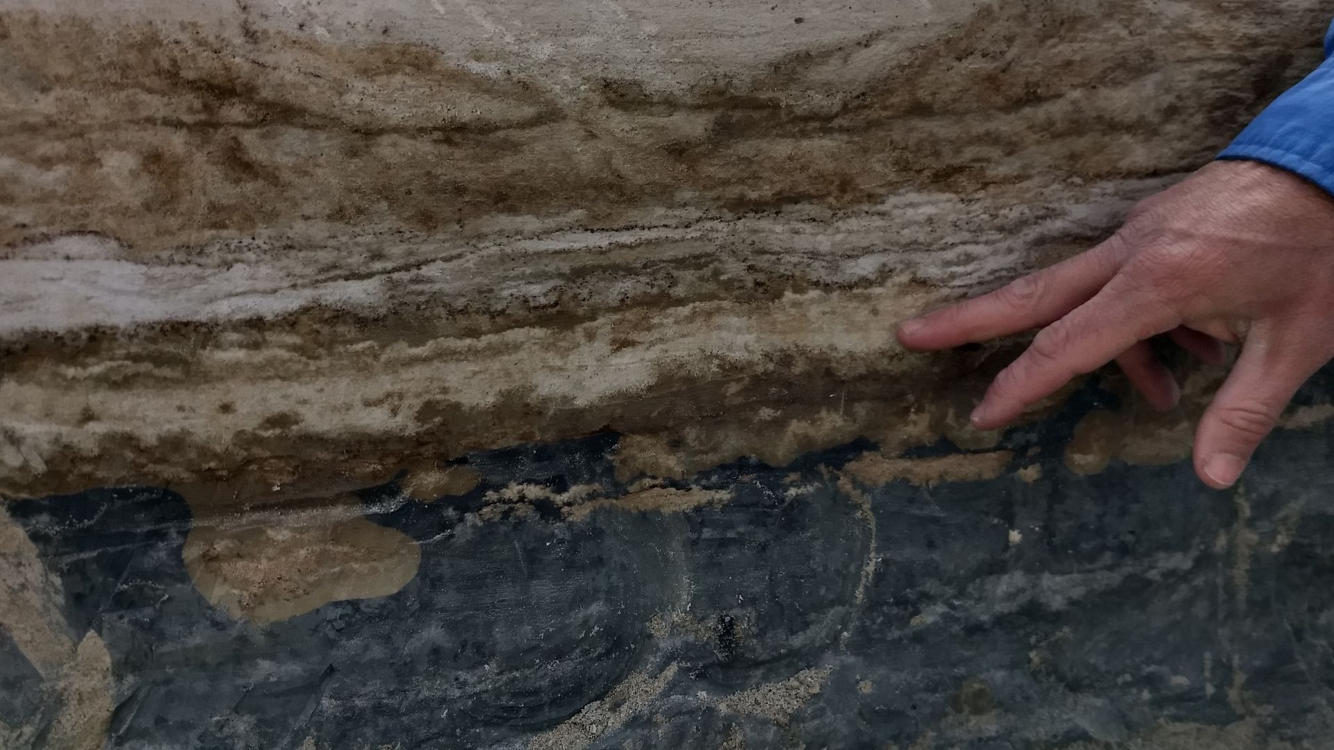 File:Seed Layers at WHSA (60939801-9c43-46a7-a810-a72bca3502c3).jpg