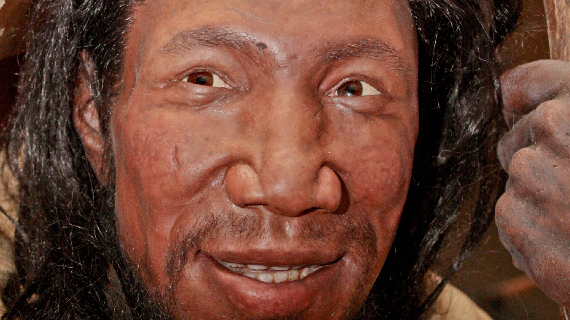 File:Homo sapiens sapiens, Oase, Rumänien (Daniela Hitzemann).jpg