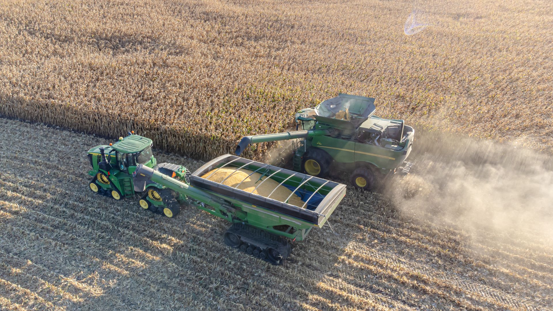File:Corn combine harvest with grain cart-4.jpg