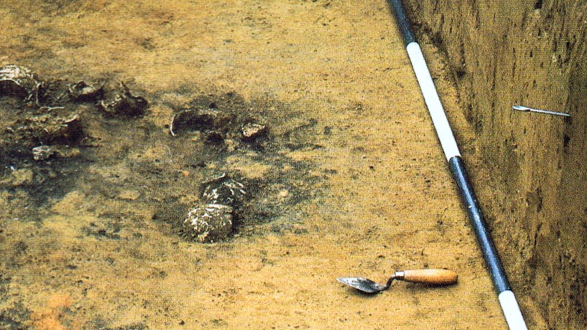 File:ASC 1984 Grab 3 (Bustum).png