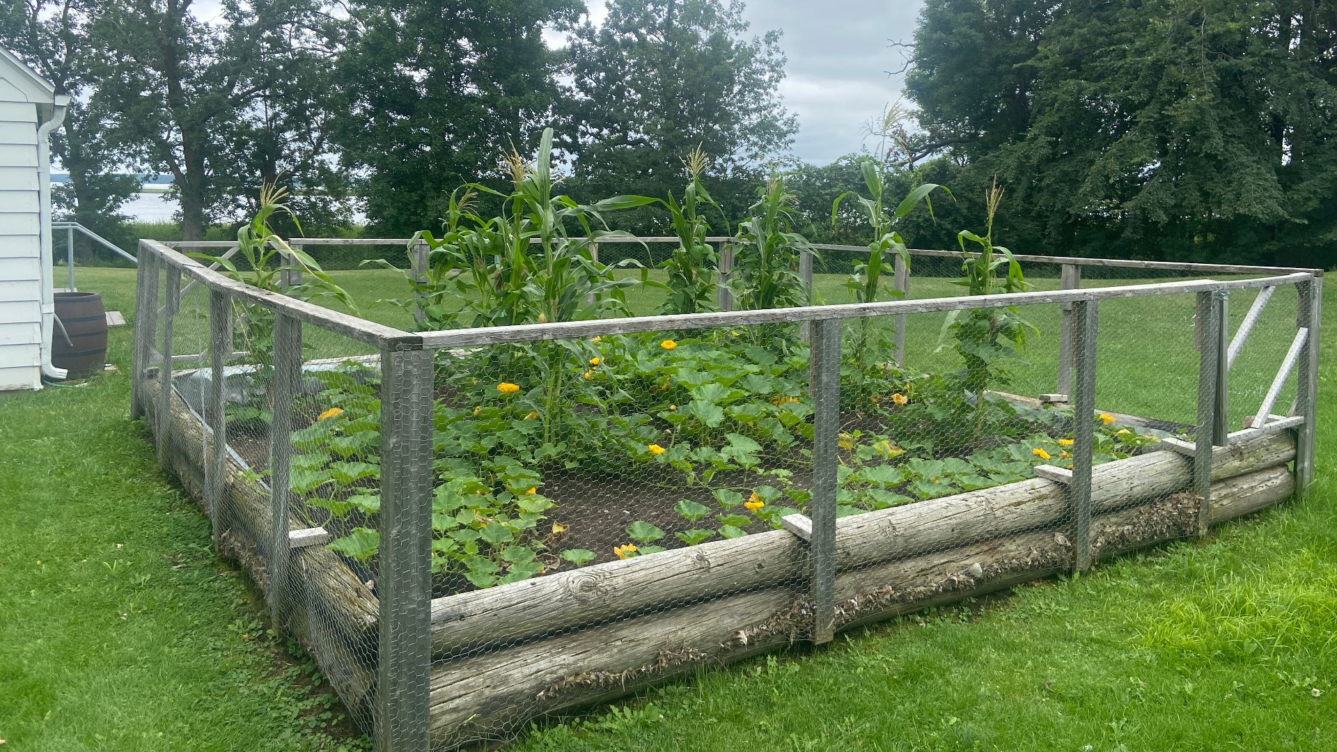 File:Three Sisters Garden.jpg