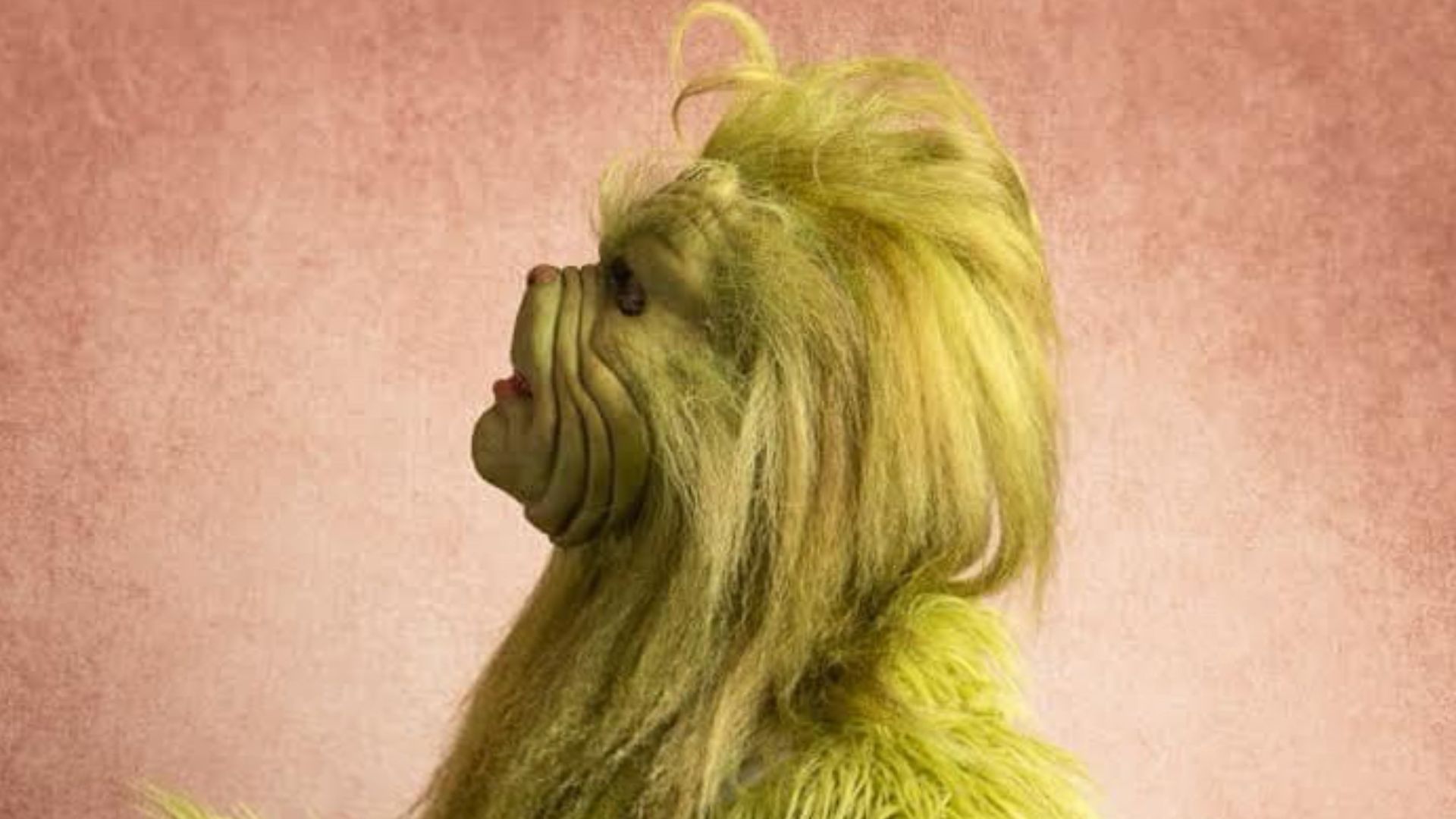 File:The Yorkshire Grinch played by Ryan Swain.jpg