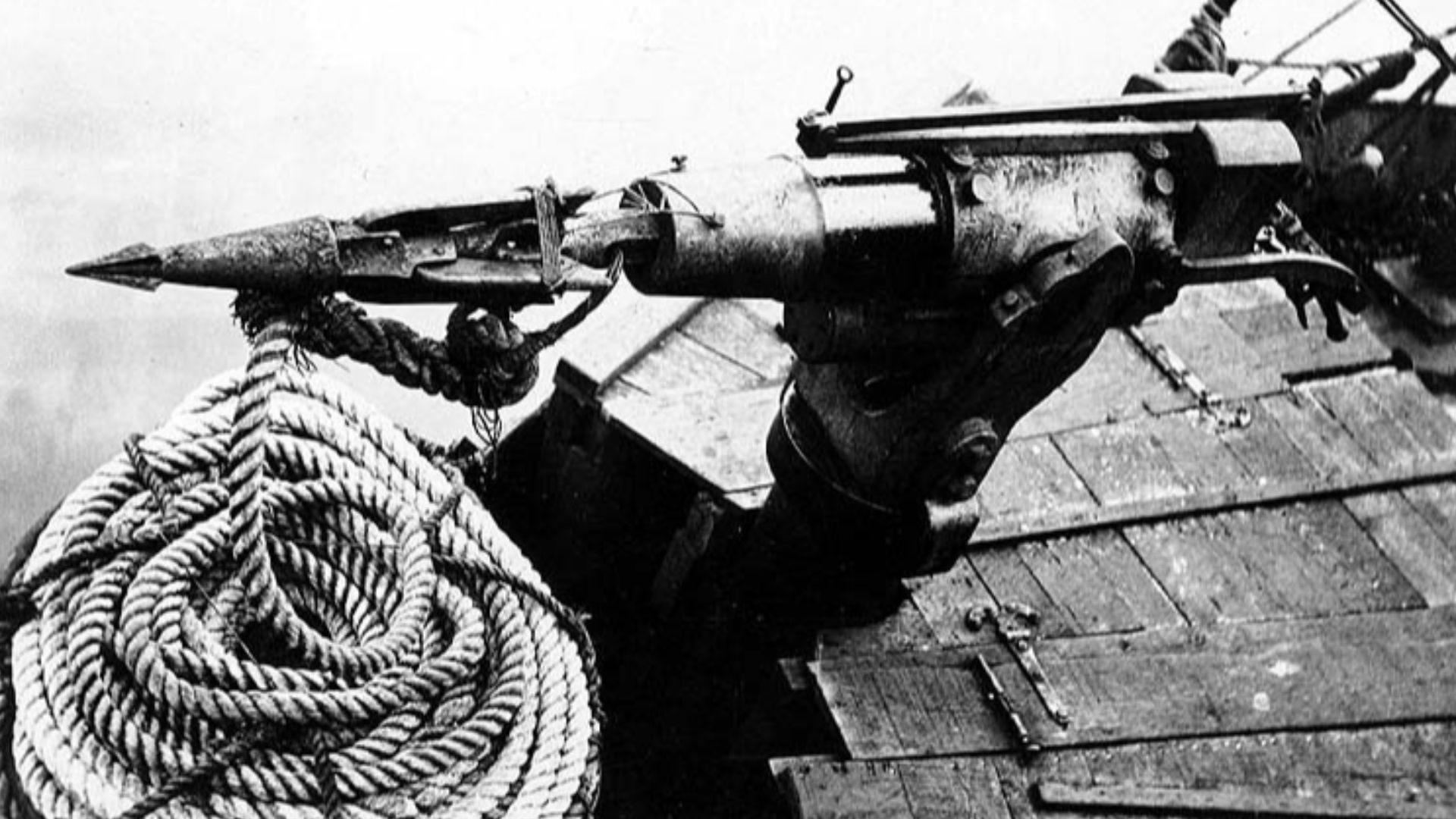 File:Harpoon mounted on a whaling boat, Alaska, ca 1915 (COBB 76).jpeg