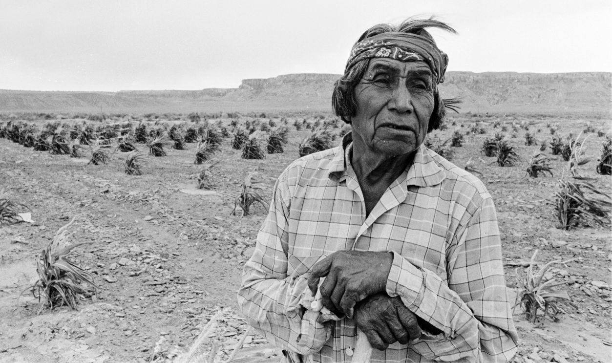 Hopi Tribesman, An elder of the native American Hopi tribe resting in the fields where he is working. - 3355685