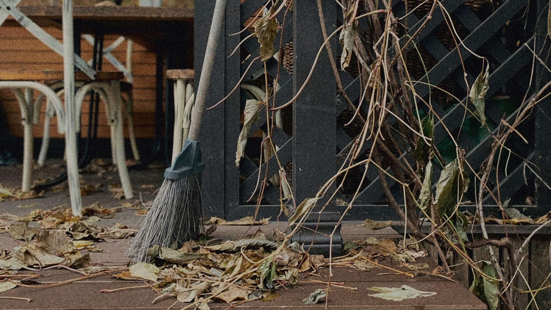 Ника Алексеева