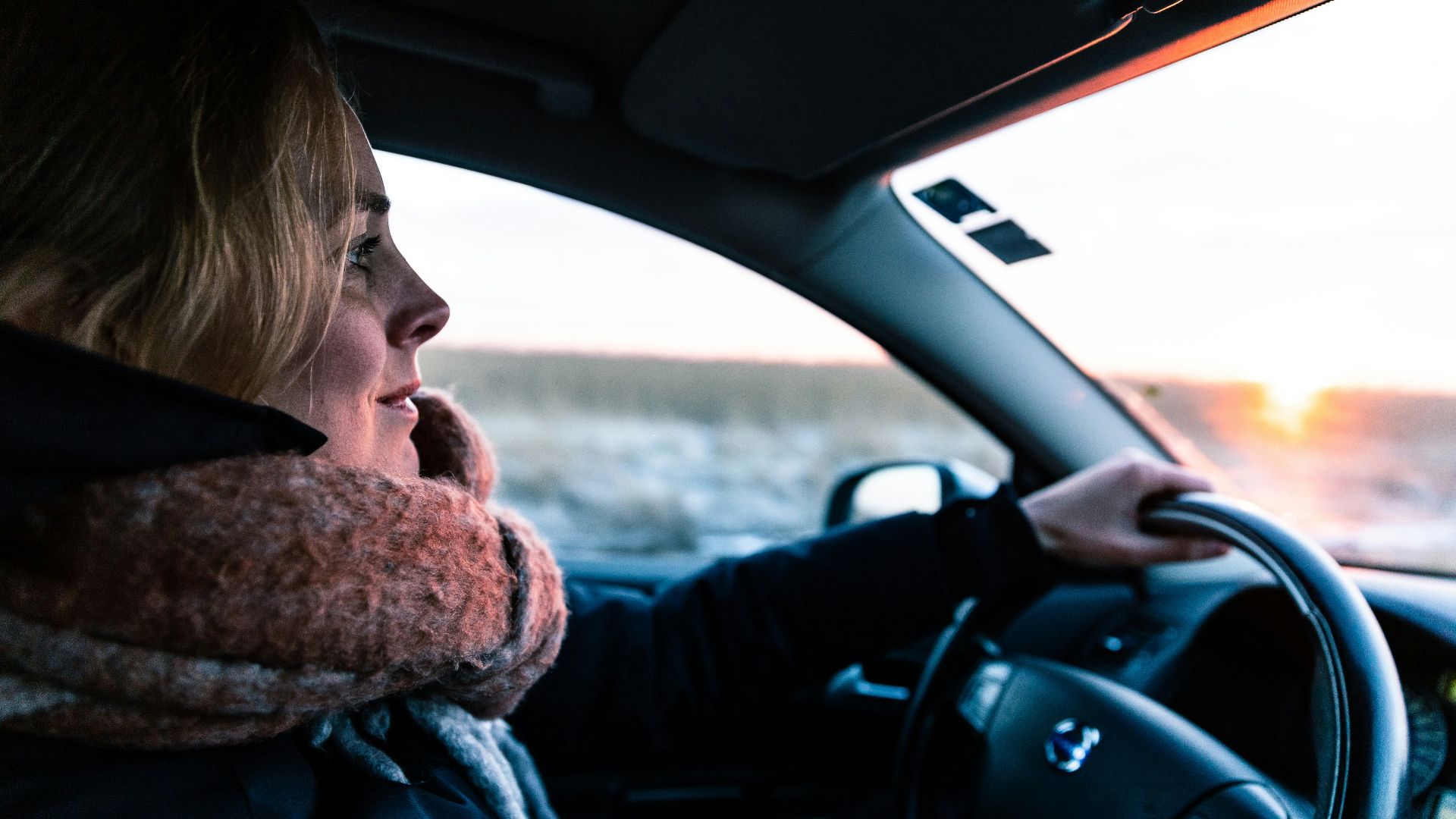 woman driving vehicle during daytime