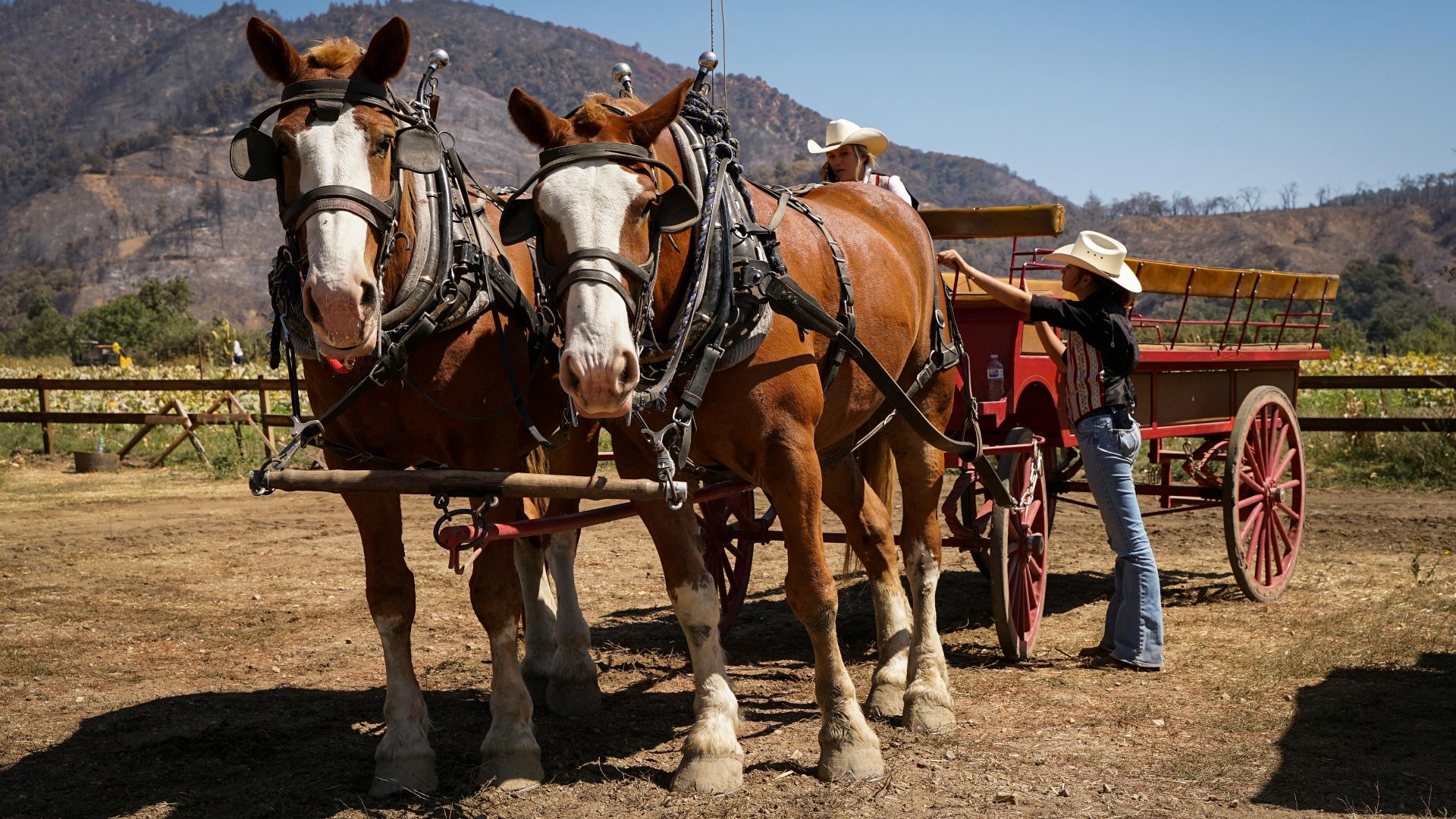 Zezen Zaenal Mutaqin