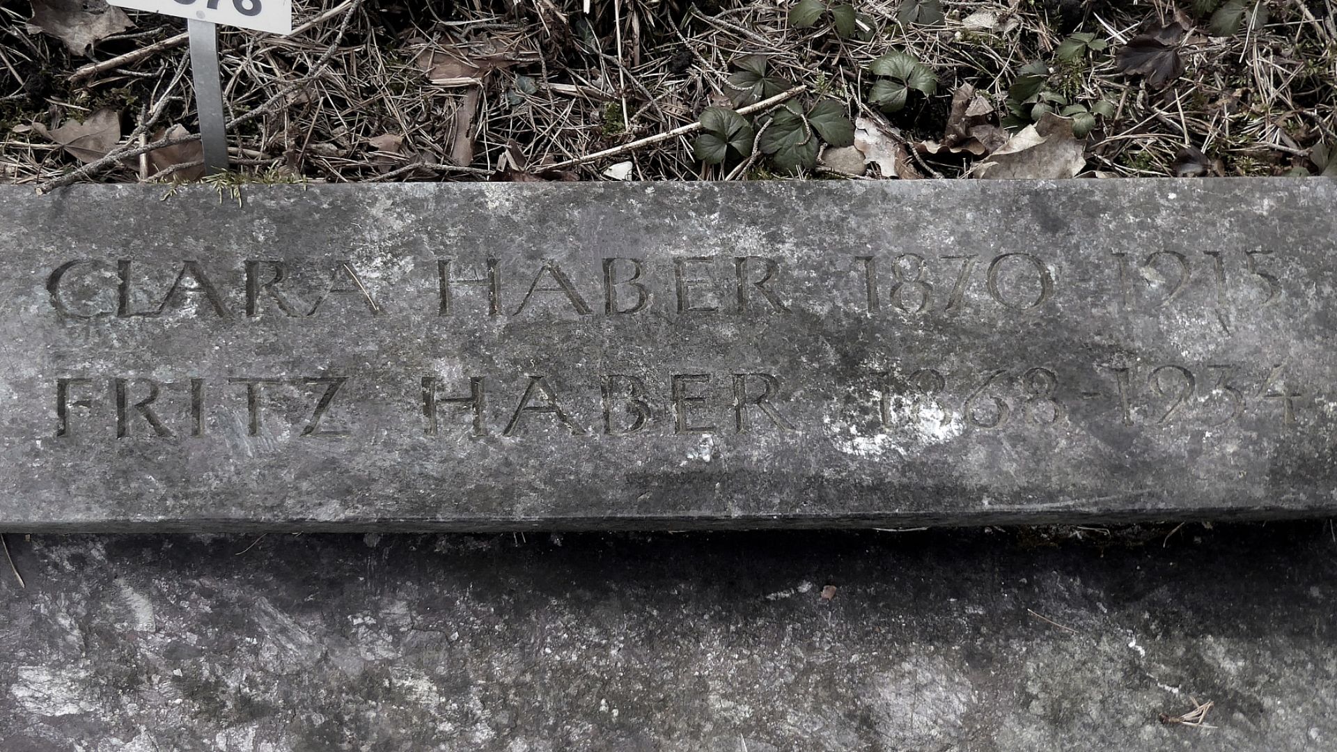 File:Fritz Haber-Immerwahr (1868–1934) .jpg