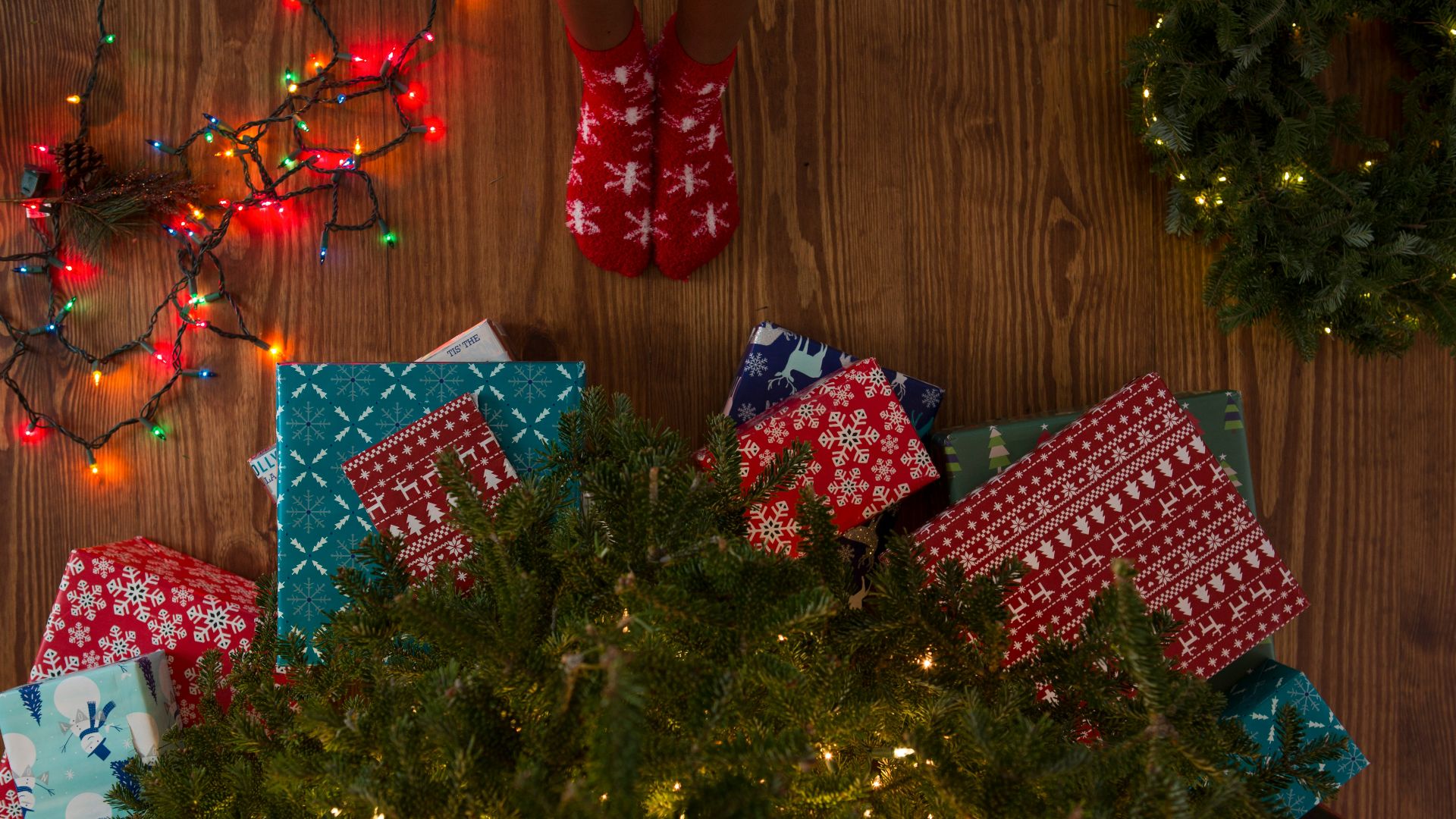 top view photography of person near palm trees