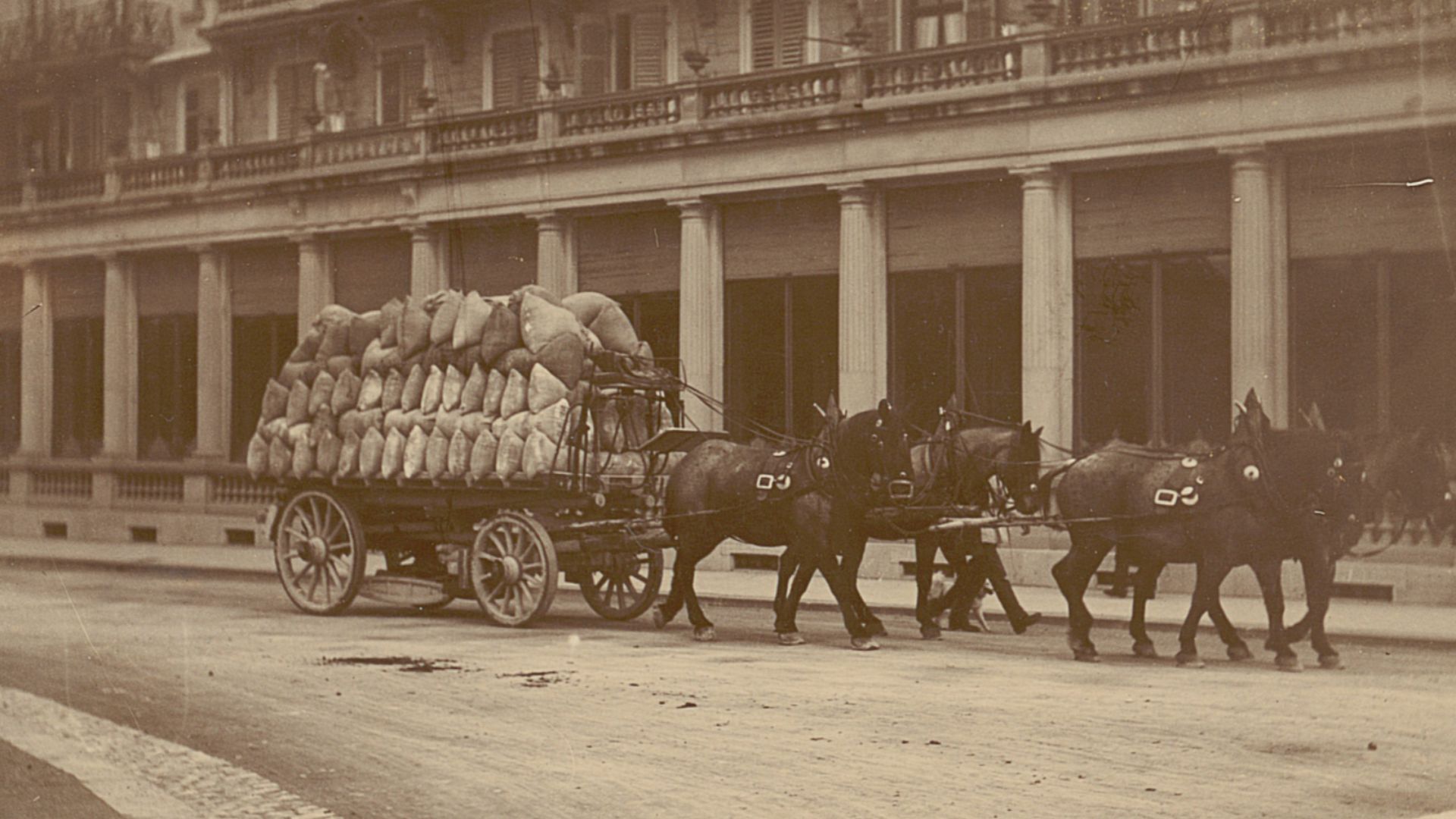 File:Zentralbibliothek Zürich - Mehlfuhrwerk b-Bellevue - 991136729439705501.jpg